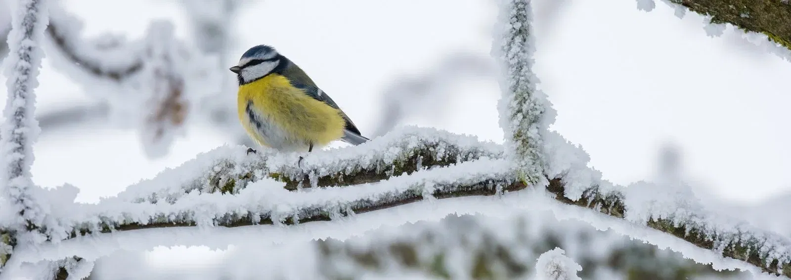 142071df52f59fb932c9f3c46761b631