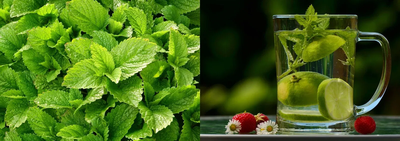 b3c561171b83dfb7b39f7be1d3c2f7a0