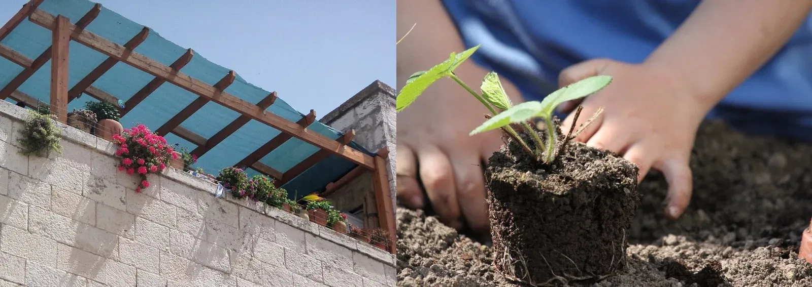 d6e45e28975e33941b549b30f6eb2316