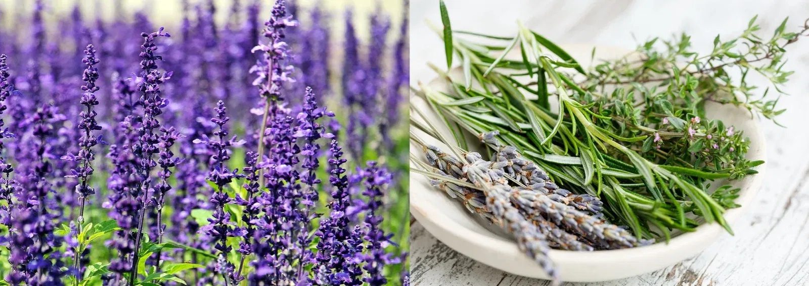 05bc5c026b05745bf2a0f11388433f97