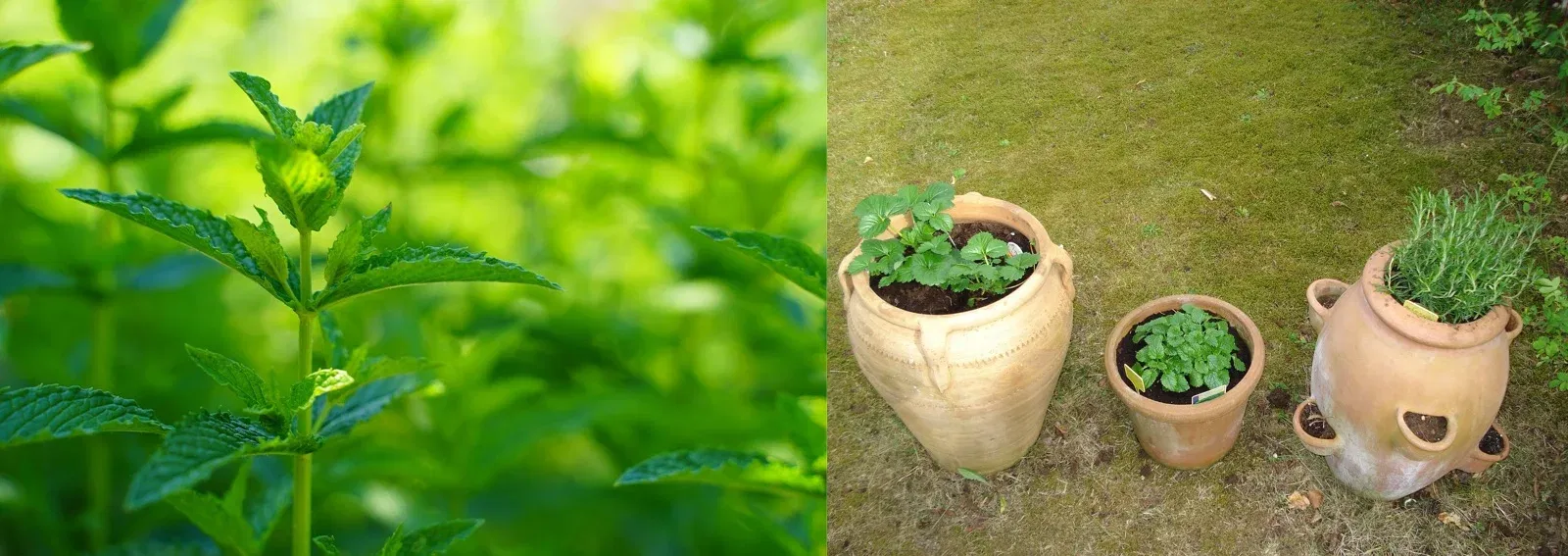 09ab51b21e59ed172d63db12093695fc