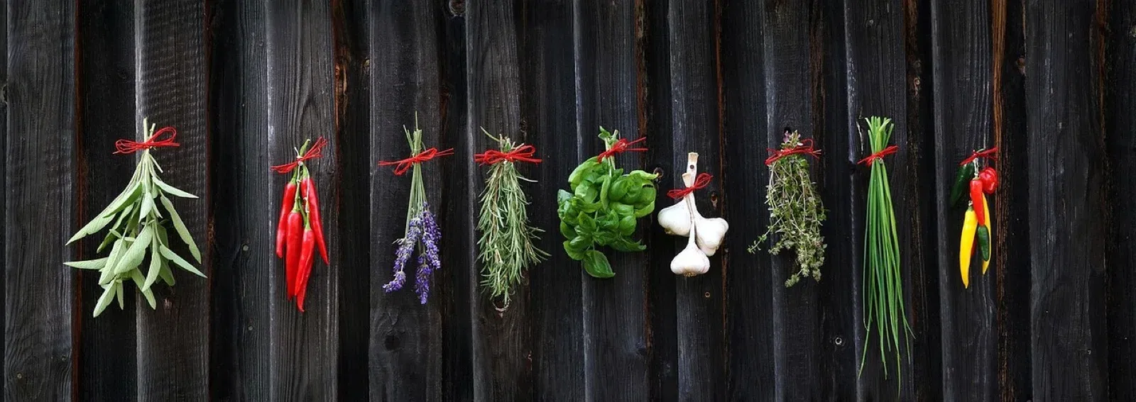 edcf2360ee90875eaf10d295c679025b