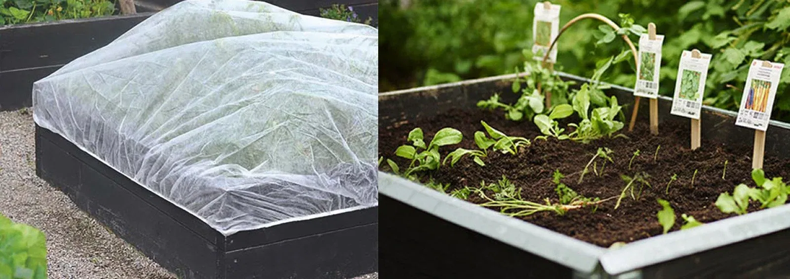 8cd46442654512156e375054fc3ca79e