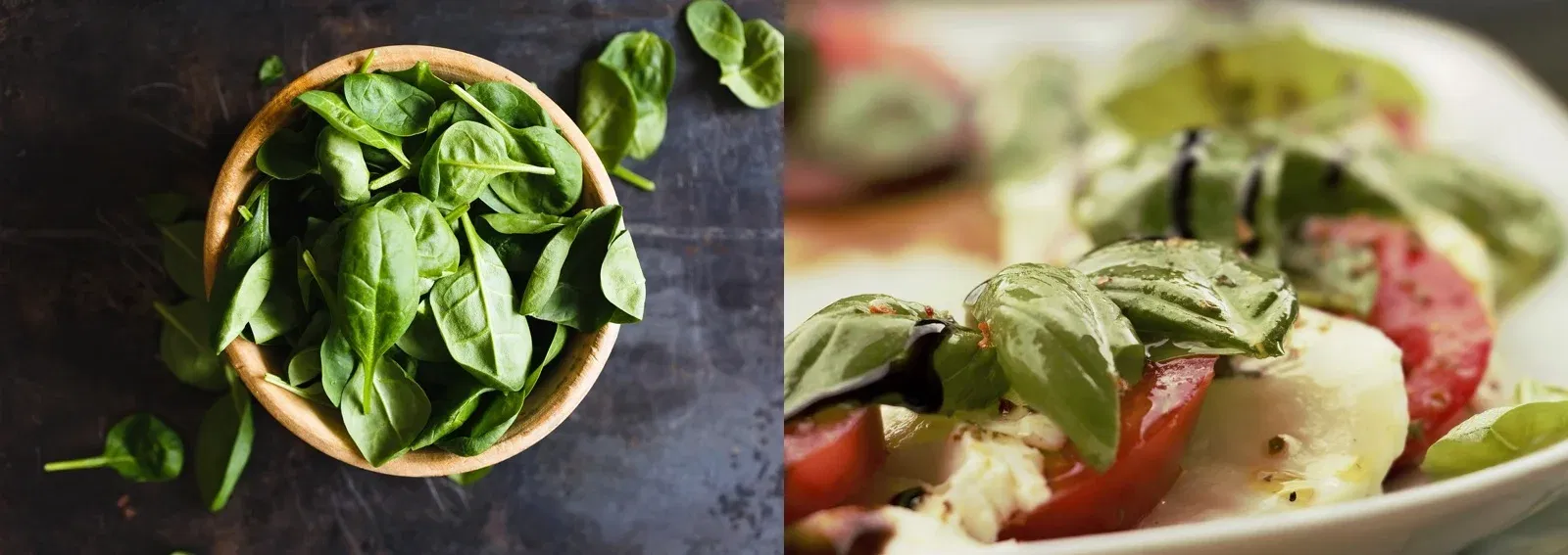 a3412045443f48ca5ad6f92c7a7d938c