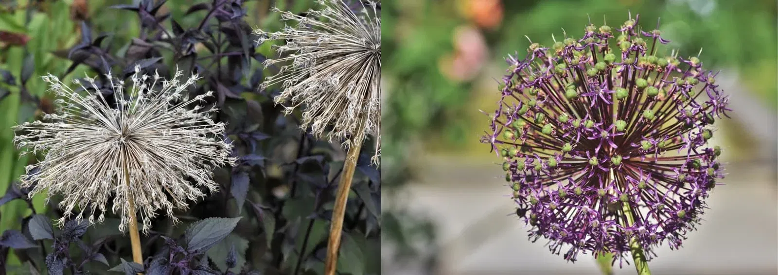 677f55c369671105fe0204c6da7fc621