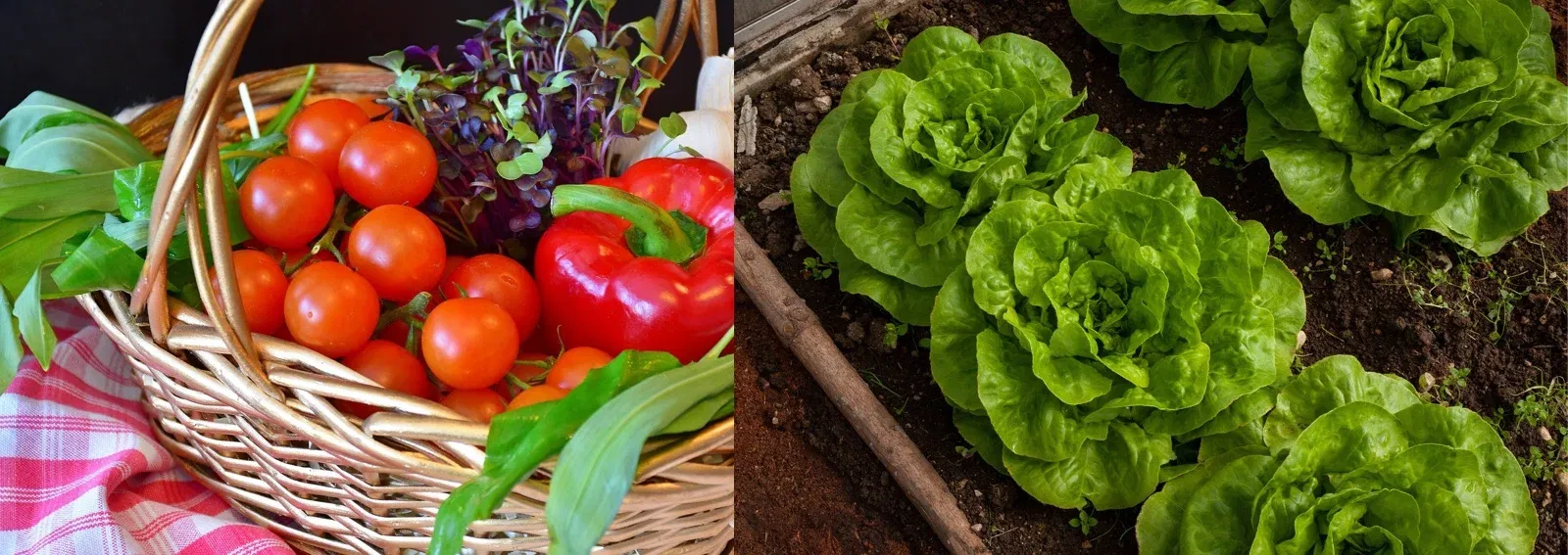 86423e2a4041b7414a9f3f23506938ea