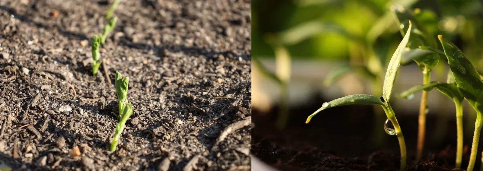 e950ddc1287cdc67a00c579d6a62038e