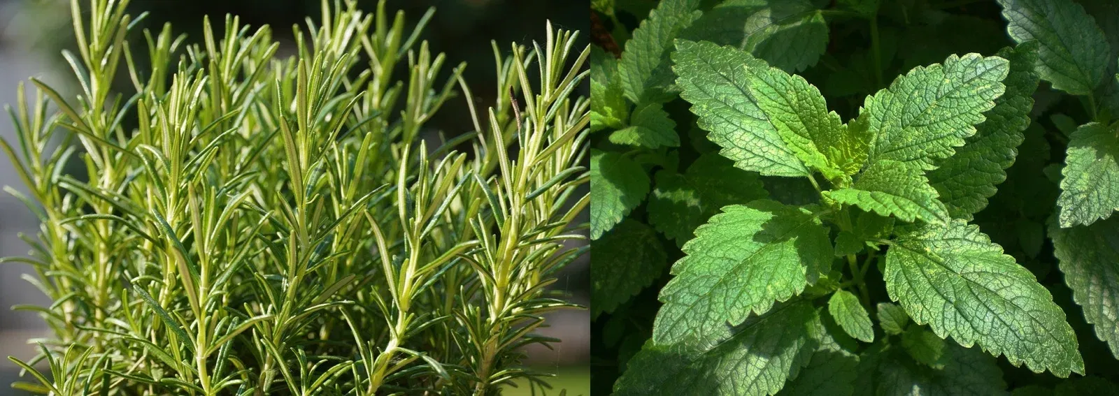 4b8ebb58e529912842d9a6dfd139add4