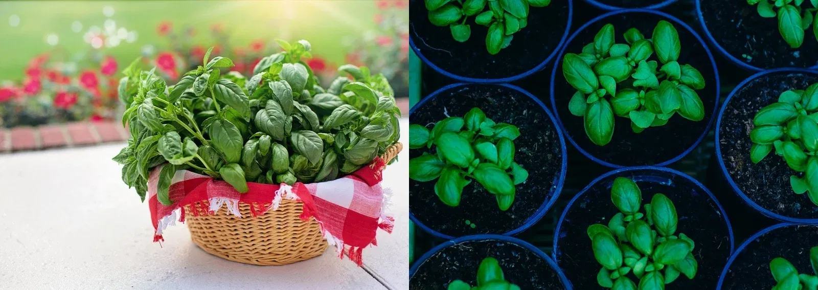 e49f8b7d535cd7dda8084cd12bf2d88c