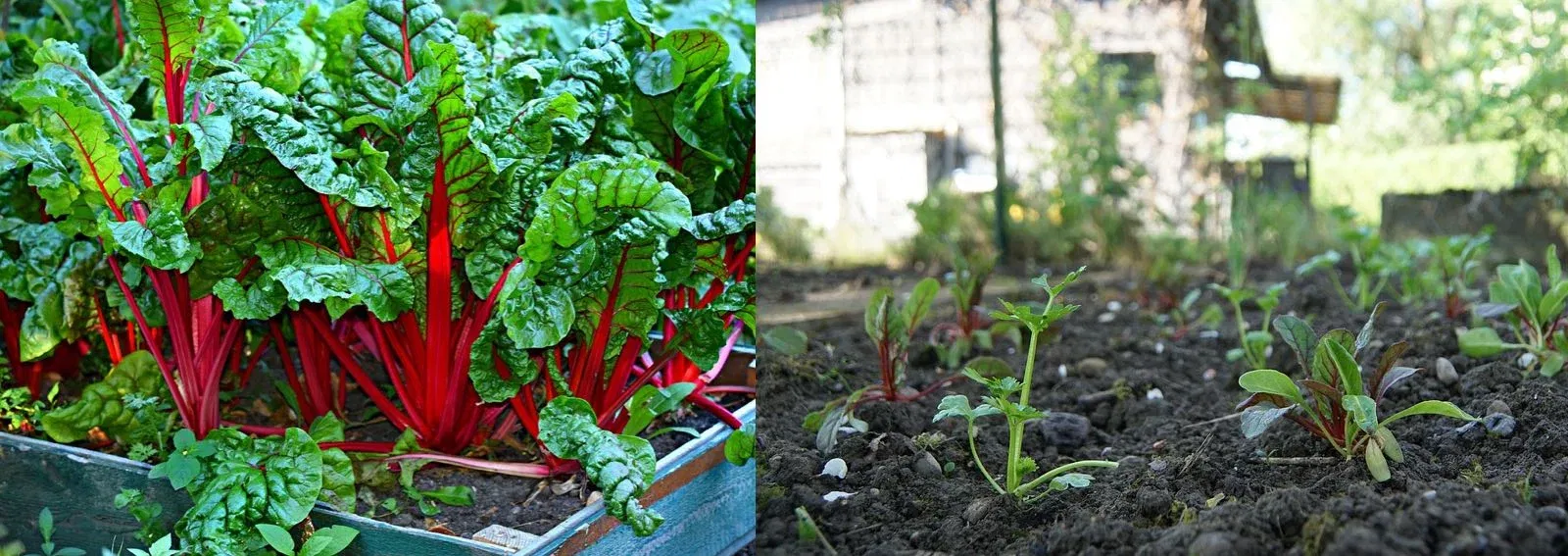 d60ed9ec0db24ccbb42123af6d634bf3