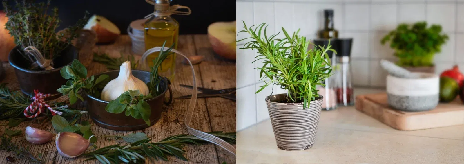 f278d964806796e54a4d0178724460eb