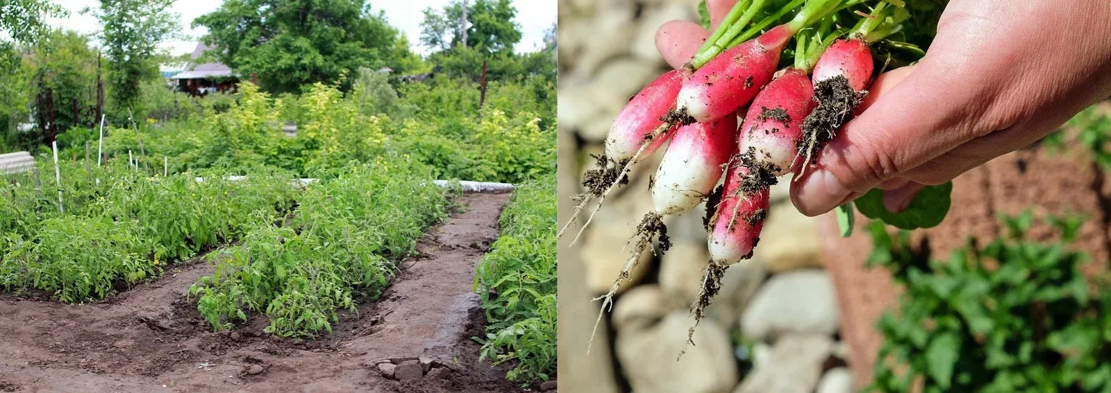 f8d22abf1b902119530910417ac818b6