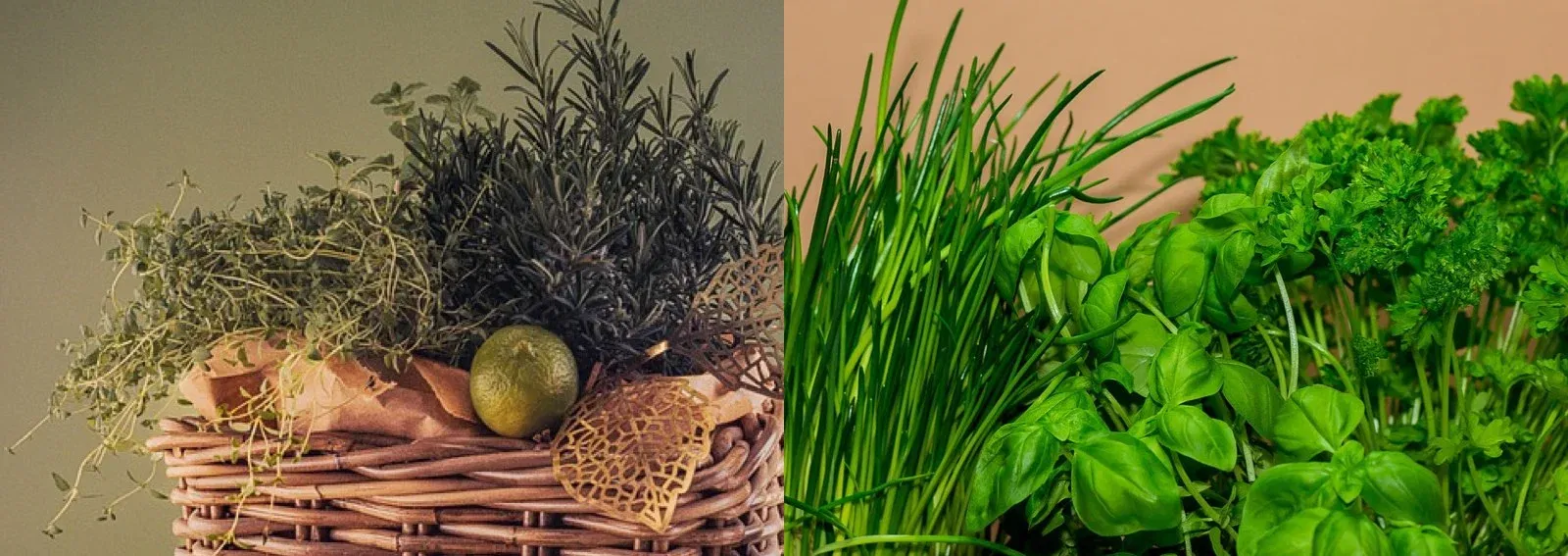 5be77bd5ade147cd8d03f6e475272003