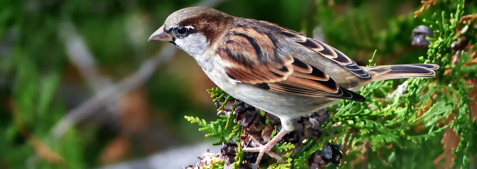 6aa081004e313a3172c6f833e981a8be