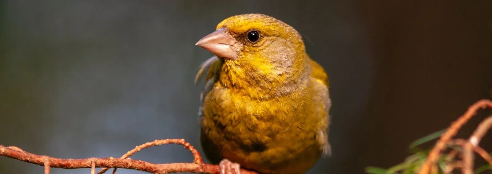 440f32e9d185e16e162e4d242b4e4e7b