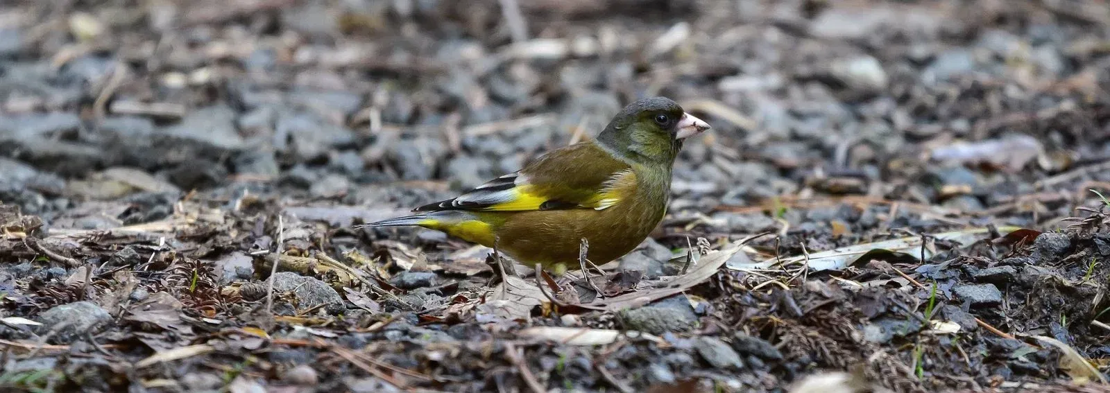 0c09573e86ba77aea3ba9bcaf052dac3