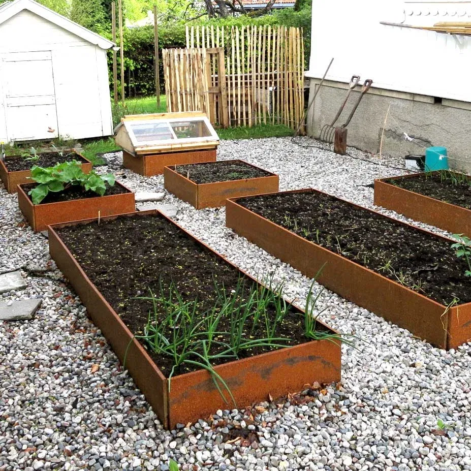 f31c52f85ae1e147dd0a5e5395997606