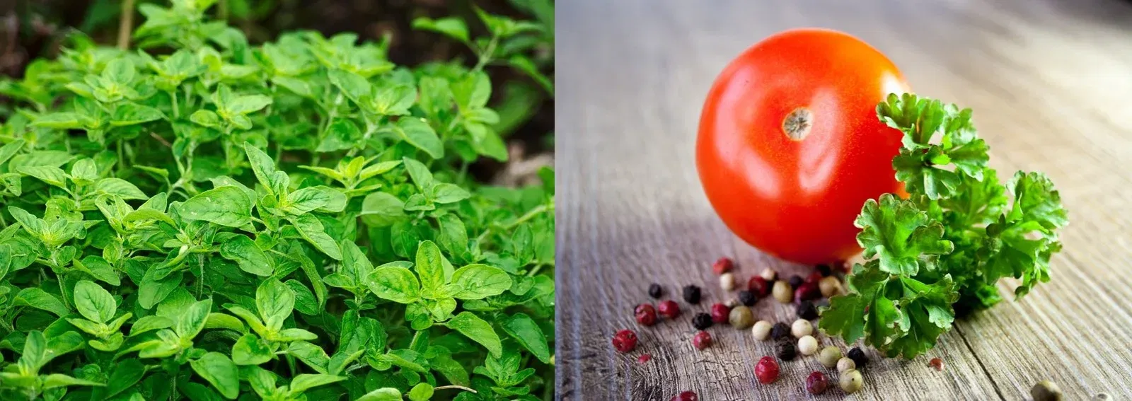 b56c4bd8b8aa24bbb7c790b8866b8af0