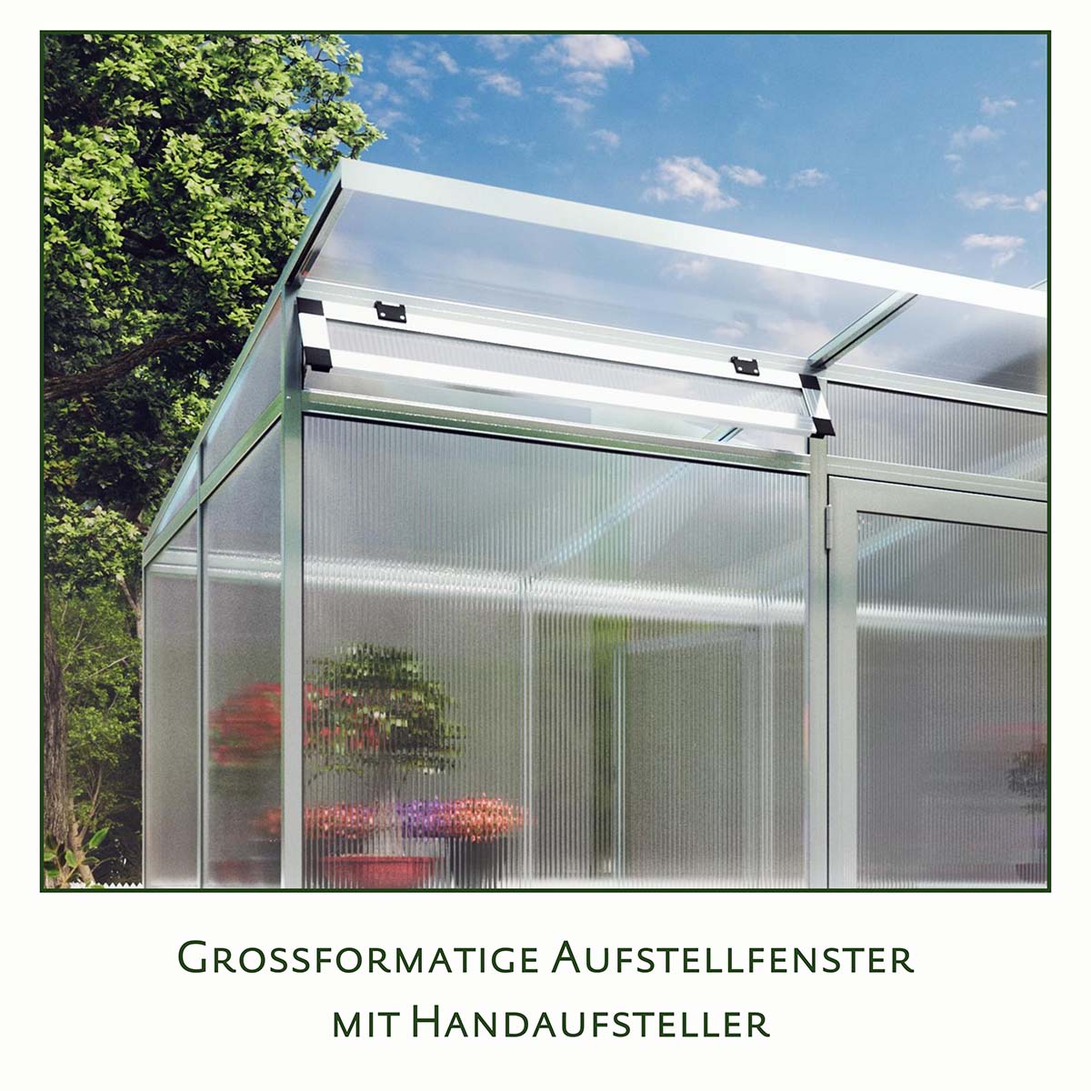 Aluminiumsdrivhus med stort oplukkeligt tagvindue