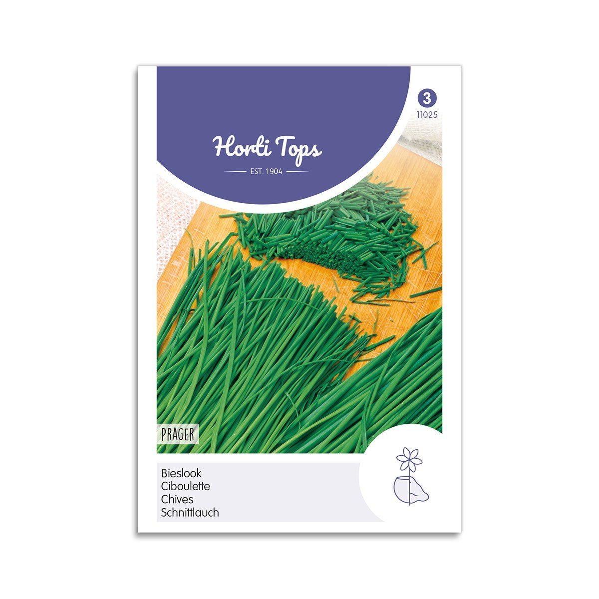 Purløg frø "Chive Prager" - Horti Tops