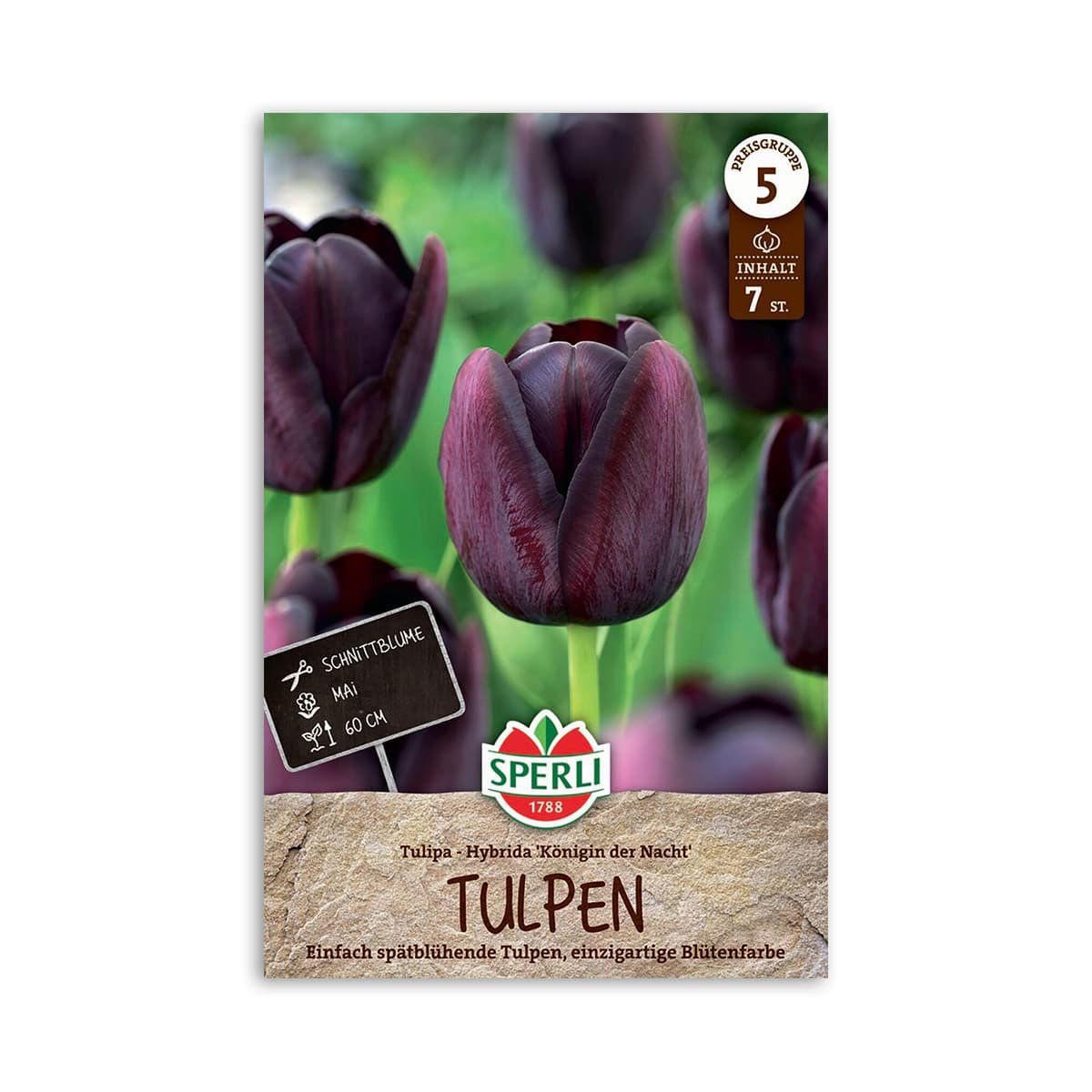 Tulipaner "Queen of night" - 7 løg
