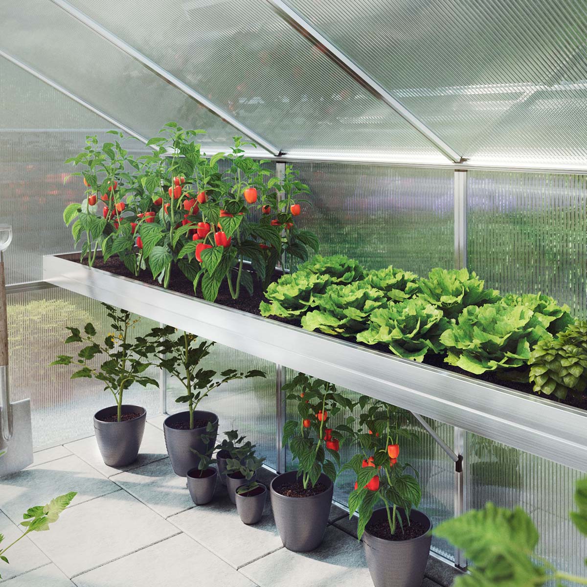 Plantebakke - Novum II