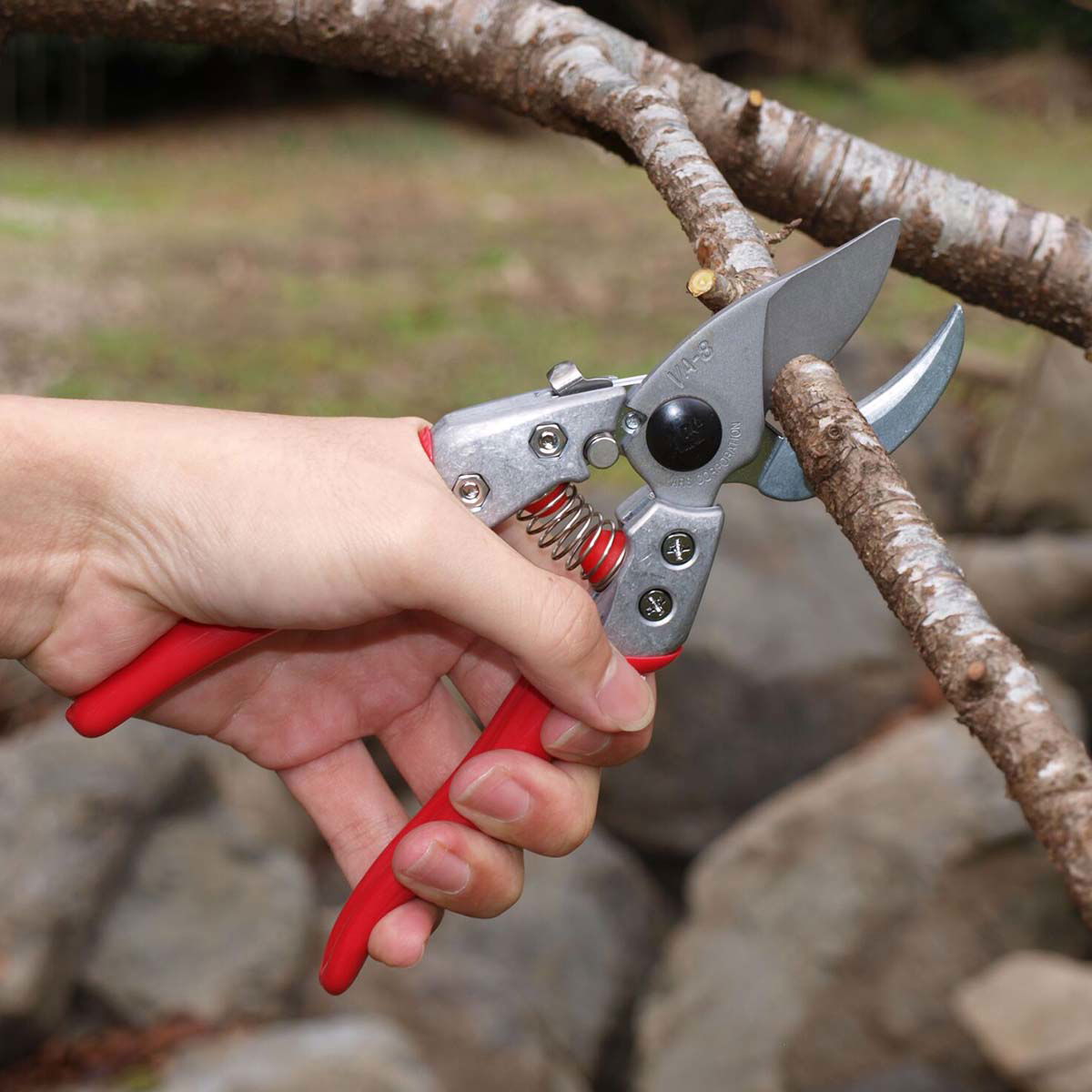 Person beskærer gren med rød håndbeskærer