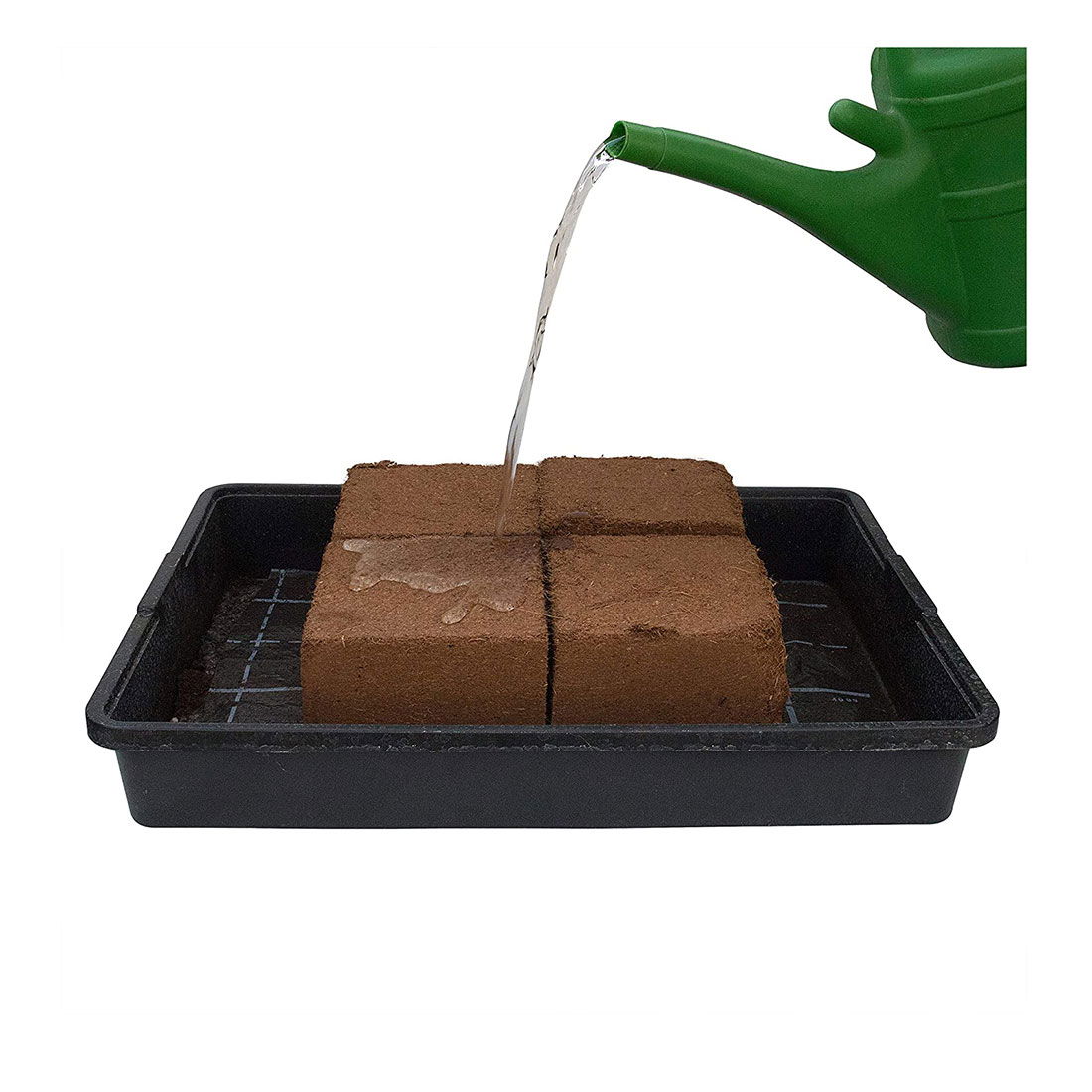 Vanding af kokosbriketter i plastbakke