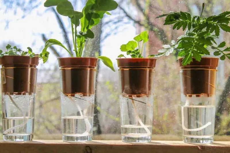 4ca49302a4f619b42c3e69601bdbebd1