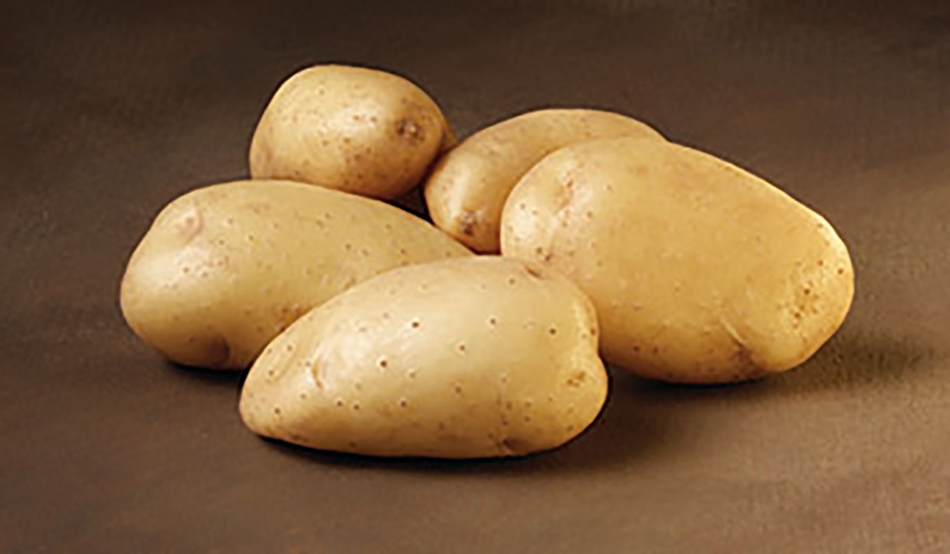 Flere friske kartofler på bord