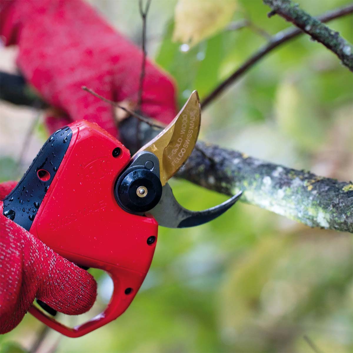 Rød elektrisk beskæresaks, der klipper gren