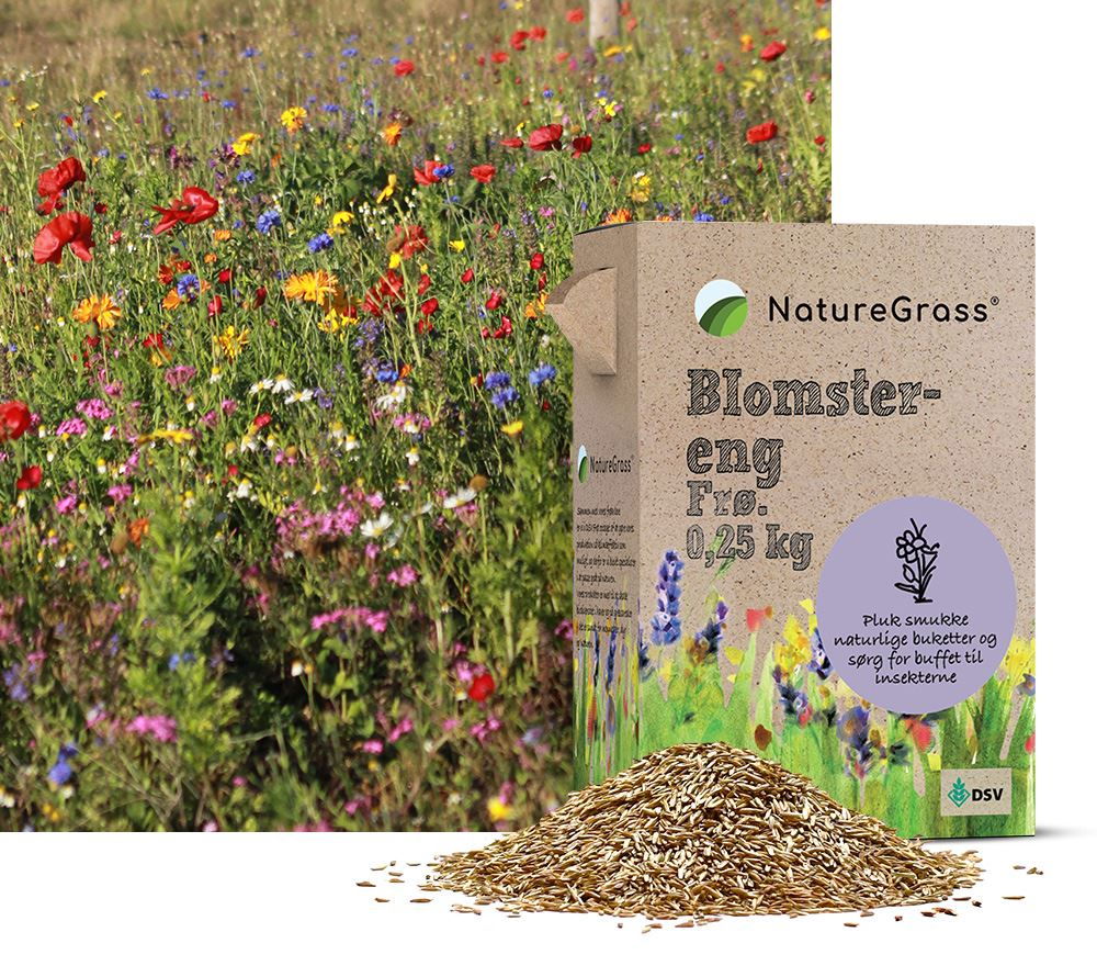 NatureGrass blomstereng frø til farverig vild have
