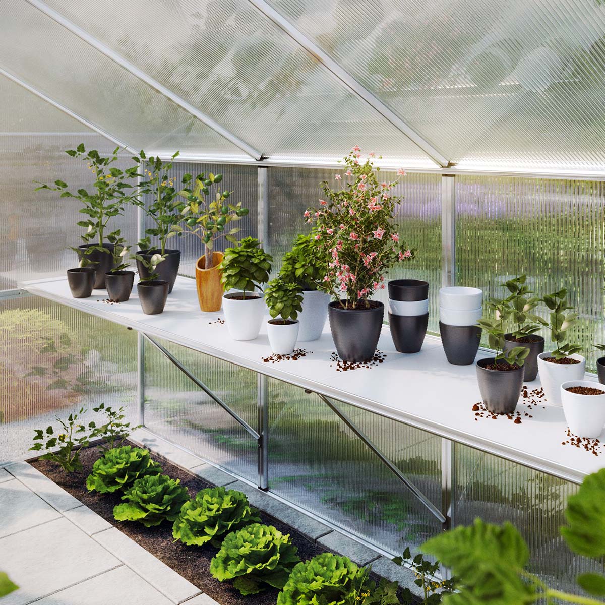 Bordstativ - Rhodo IV