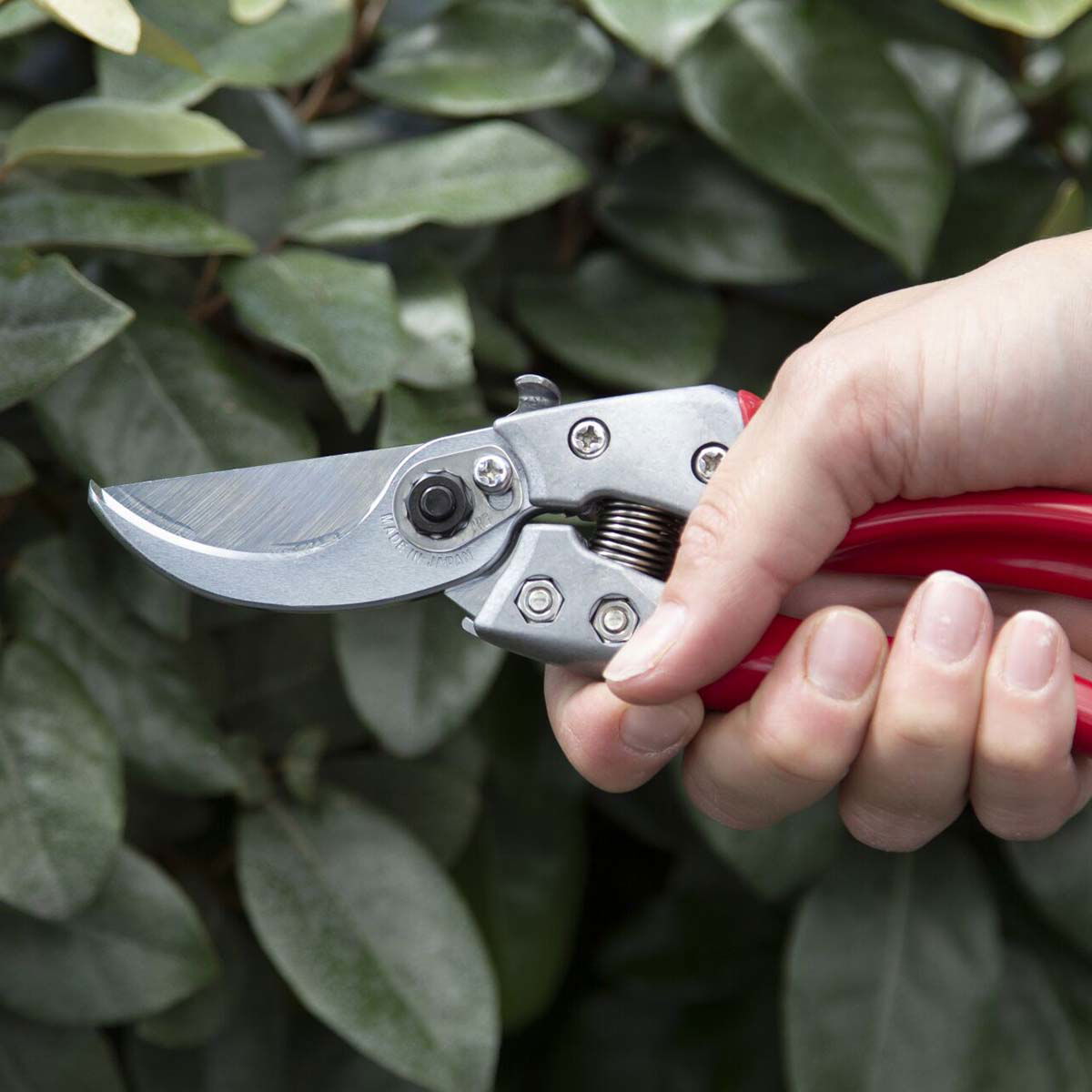 Person bruger håndbeskærer til planter