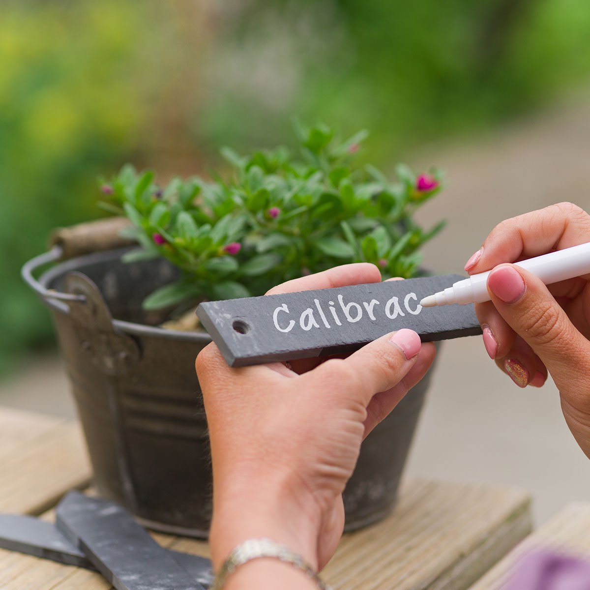 Hånd skriver på skifer planteskilt ved krukkeplante