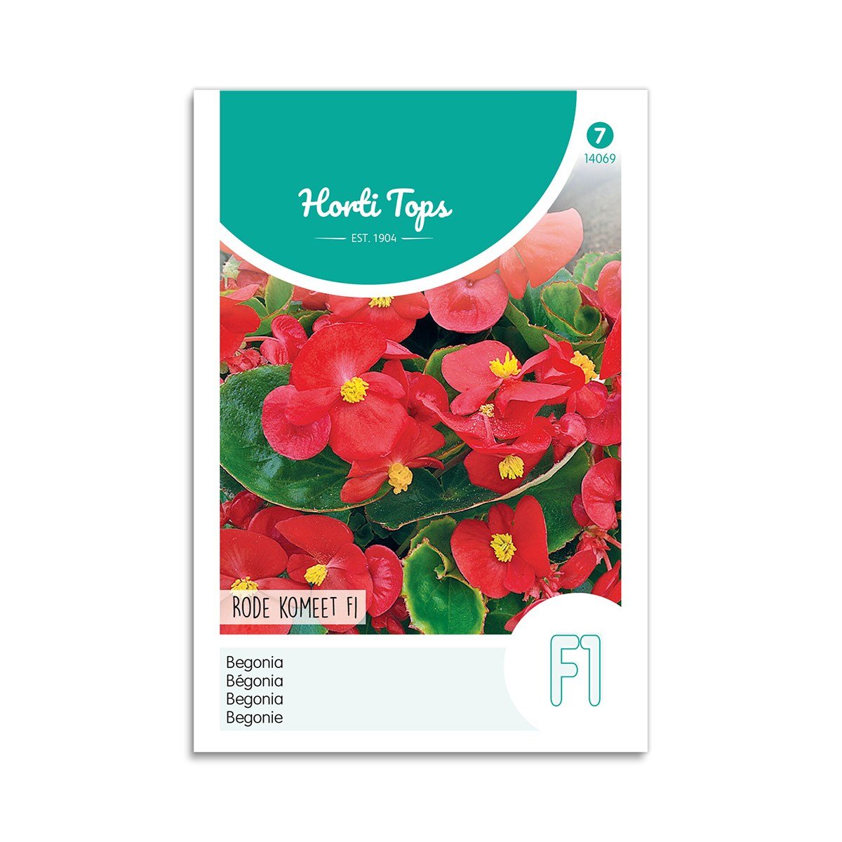 Pose med Begonia Røde Komet F1 frø