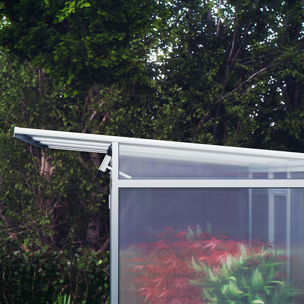 Side af drivhus med polycarbonat og planter