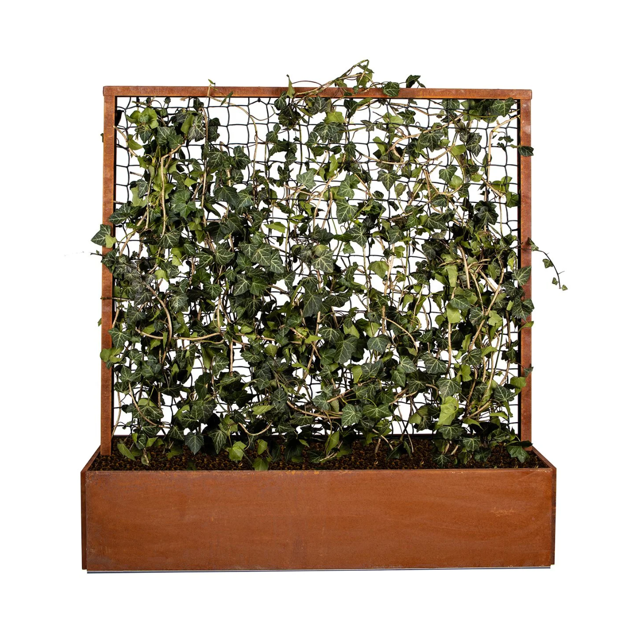 Land Modern Plantekasse med espalier i Corten - 120 cm