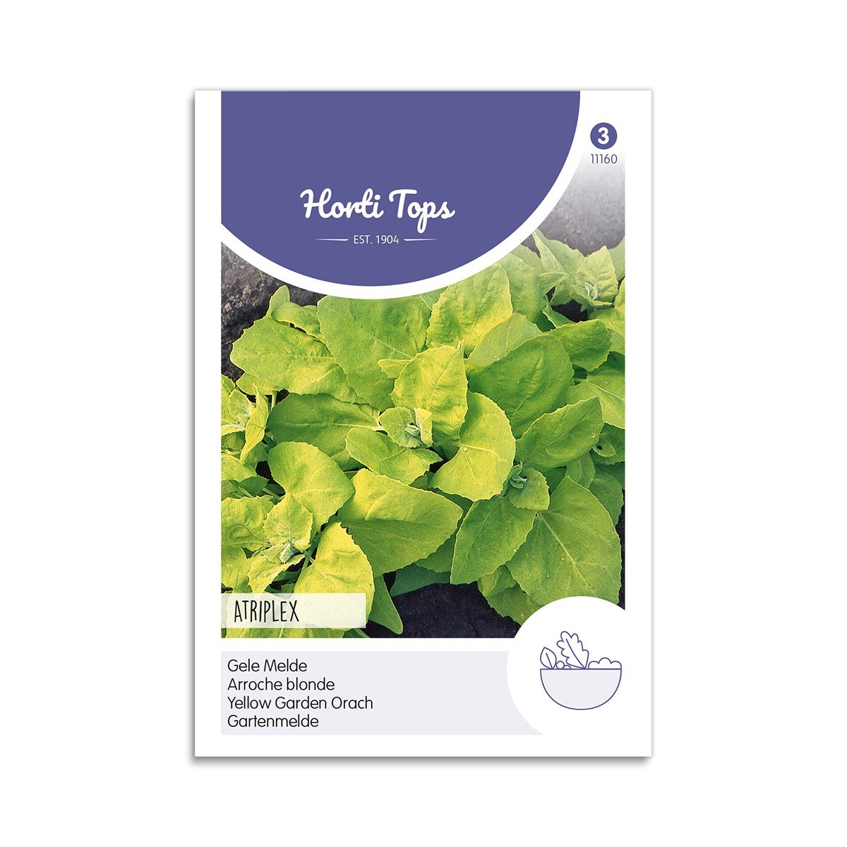 Havemælde frø "Atriplex hortensis"