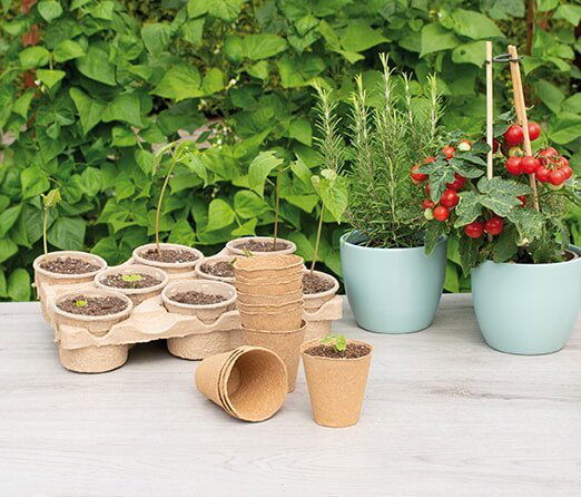 Sæt med små nedbrydelige plantepotter på havebord