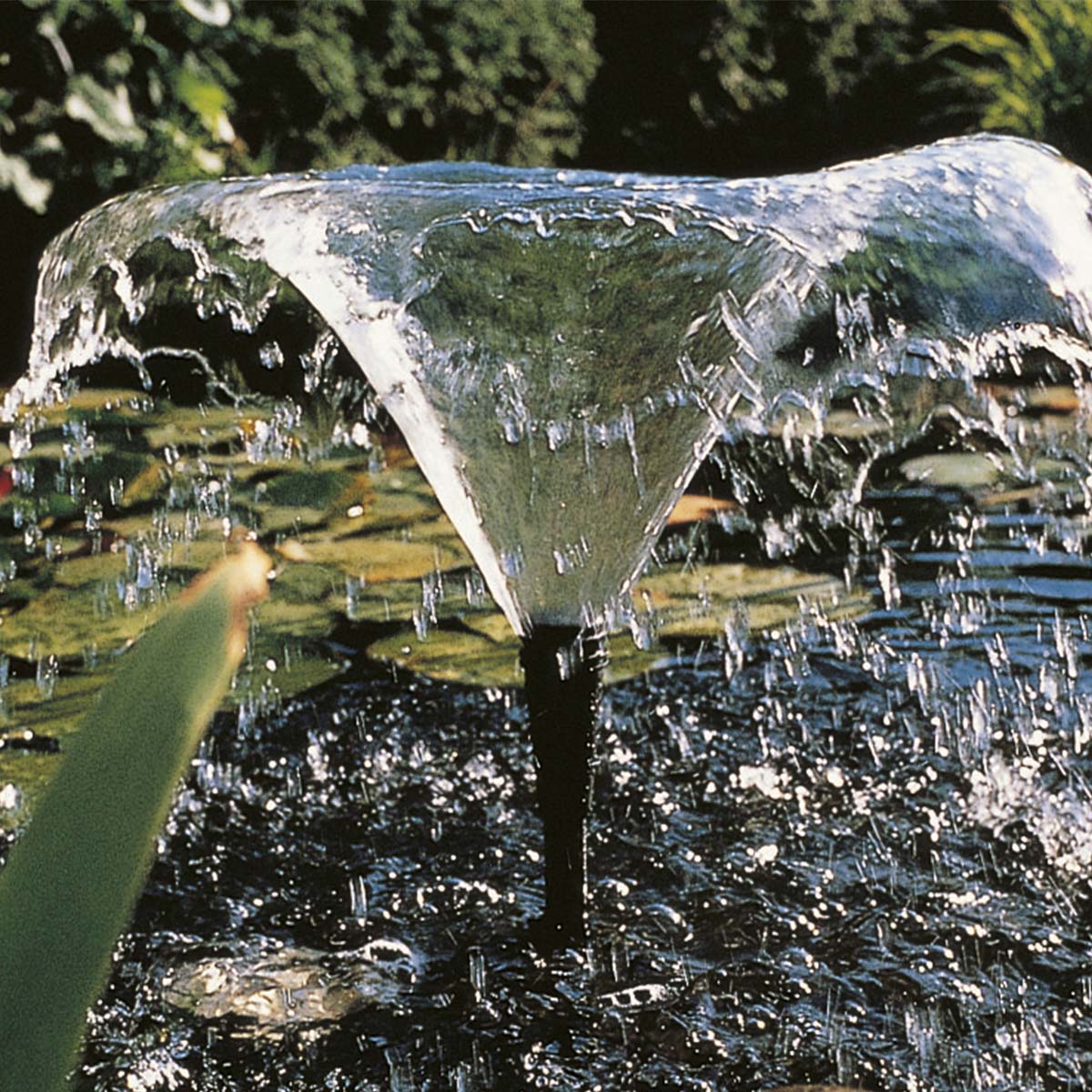 Svampeformet vandfontæne i klar havedam