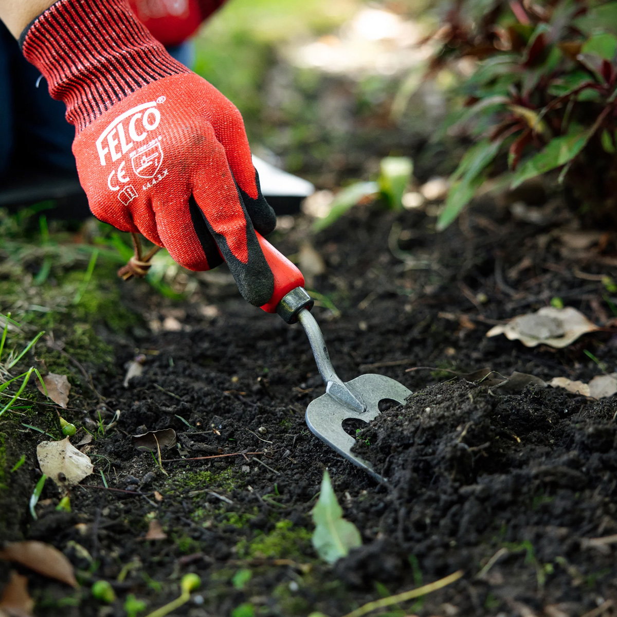 Felco 431 Plantegaffel – smedet boronstålblad og ergonomisk drop-håndtag til at løsne jord og blande kompost Felco 431 plantegaffel i brug med rødt håndtag; smedet boronstålblad og skarpe tænder til at løsne jord, blande kompost og omplante