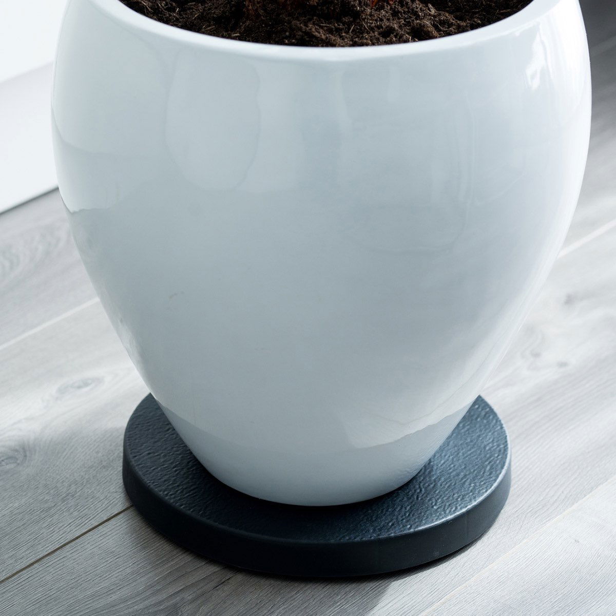 Sort underkop til stor hvid plantepotte på gulv