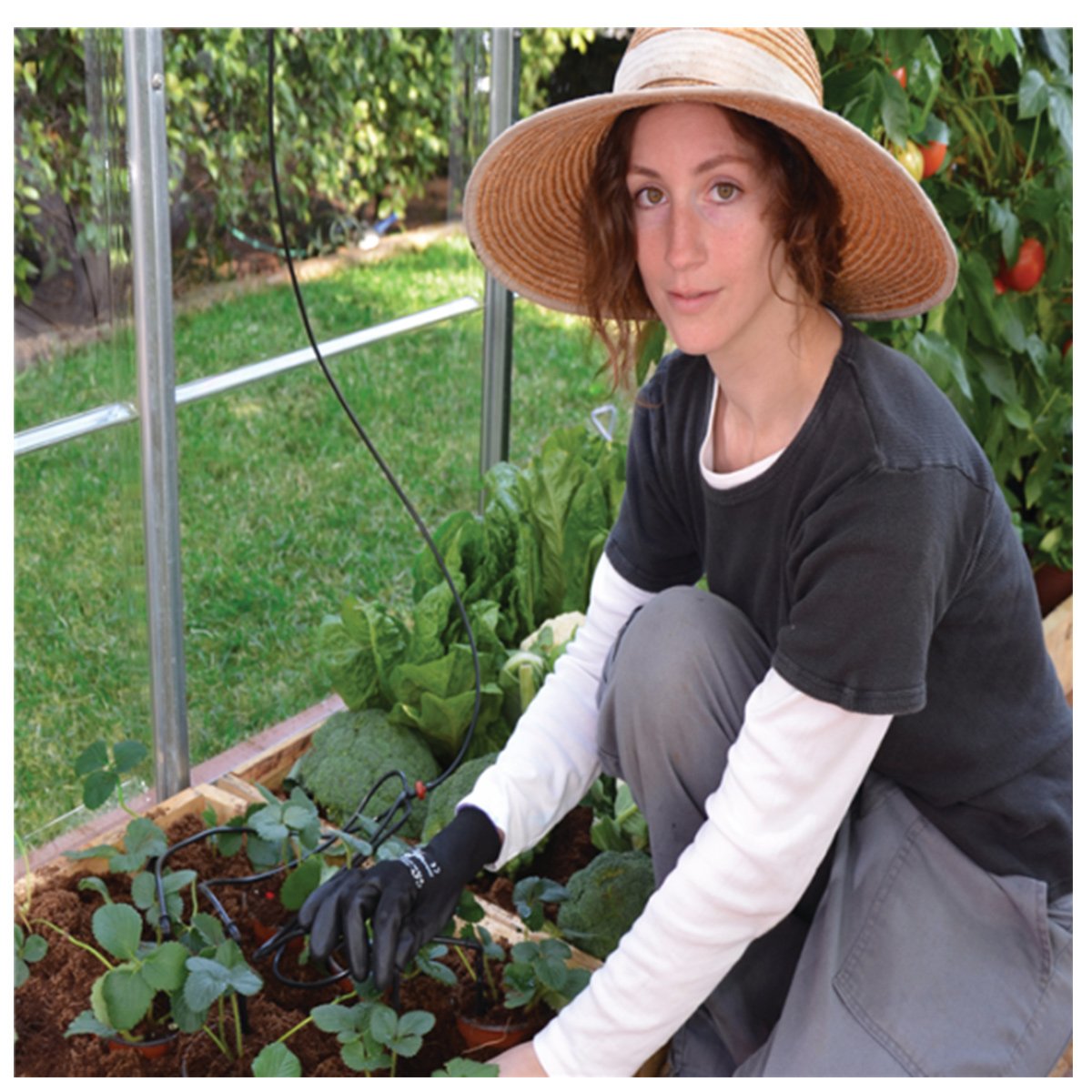 Kvinde arbejder med planter i drivhus med havehandsker