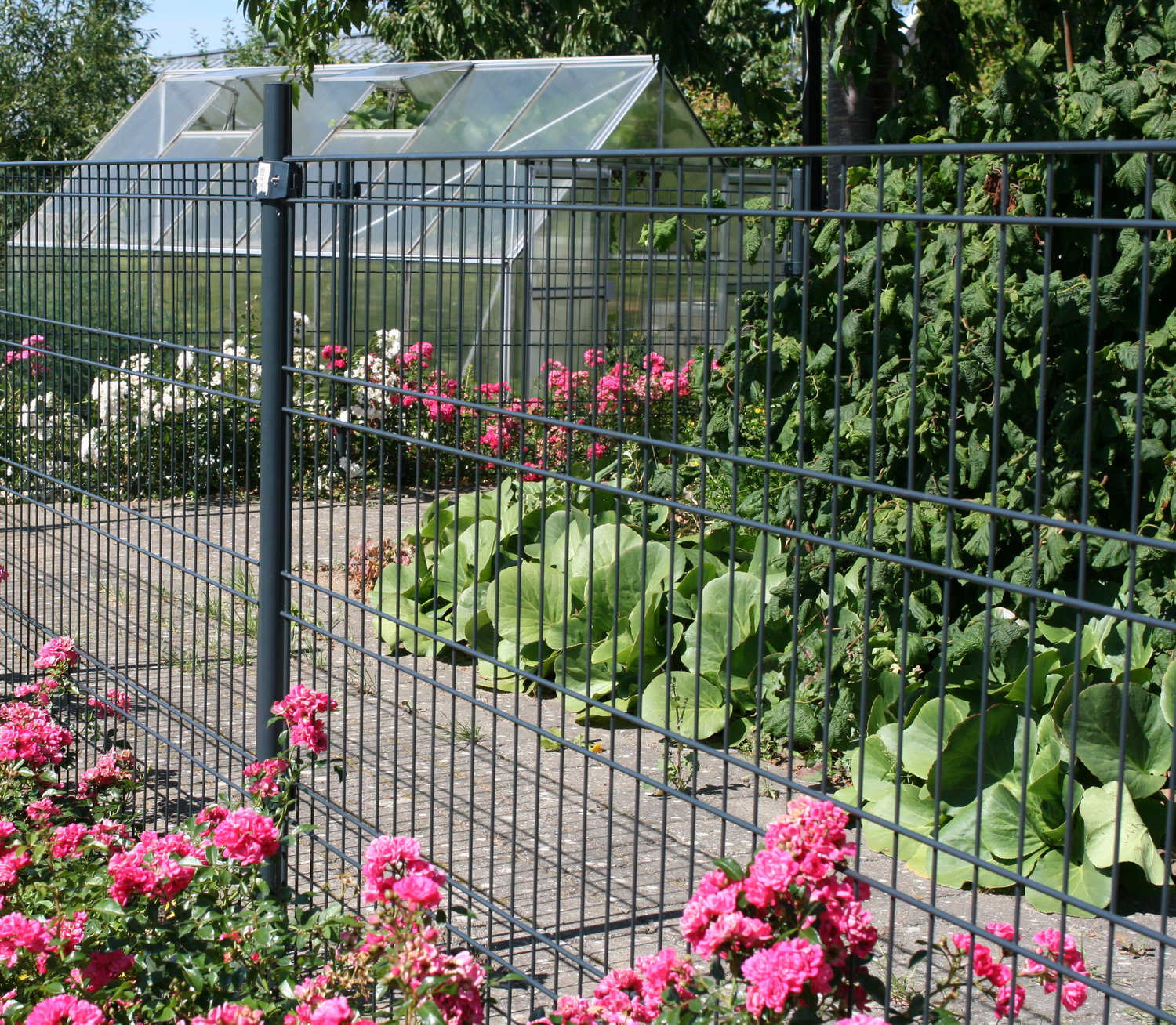 Hegn til have med drivhus og blomsterbede Stålgitterhegn foran have med drivhus og blomster