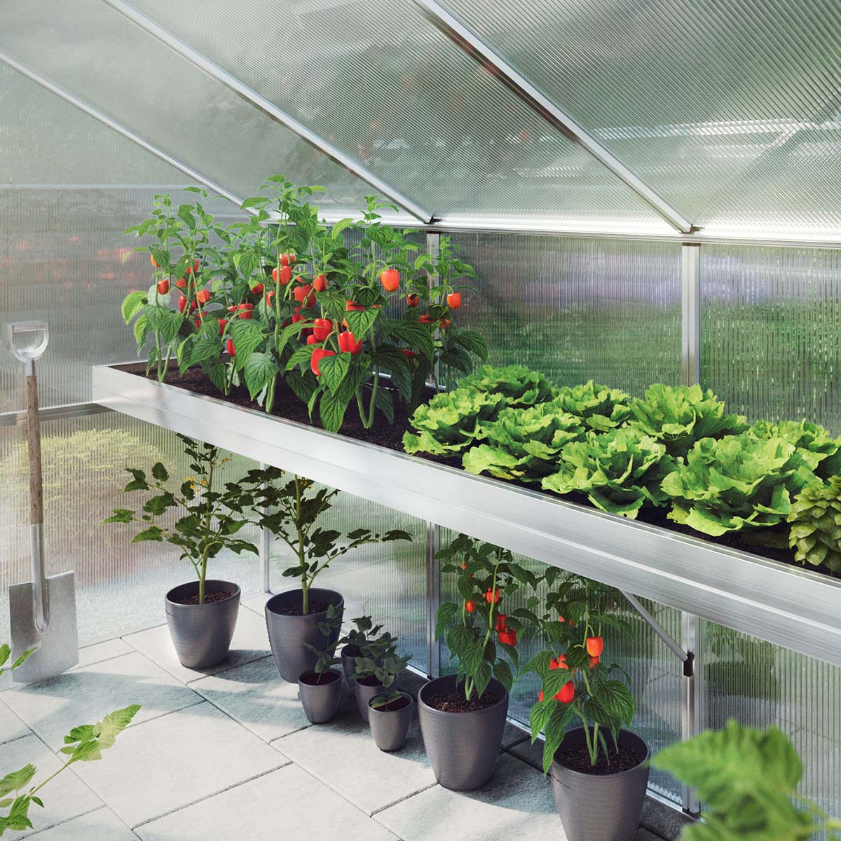 Plantebakke - Linea I