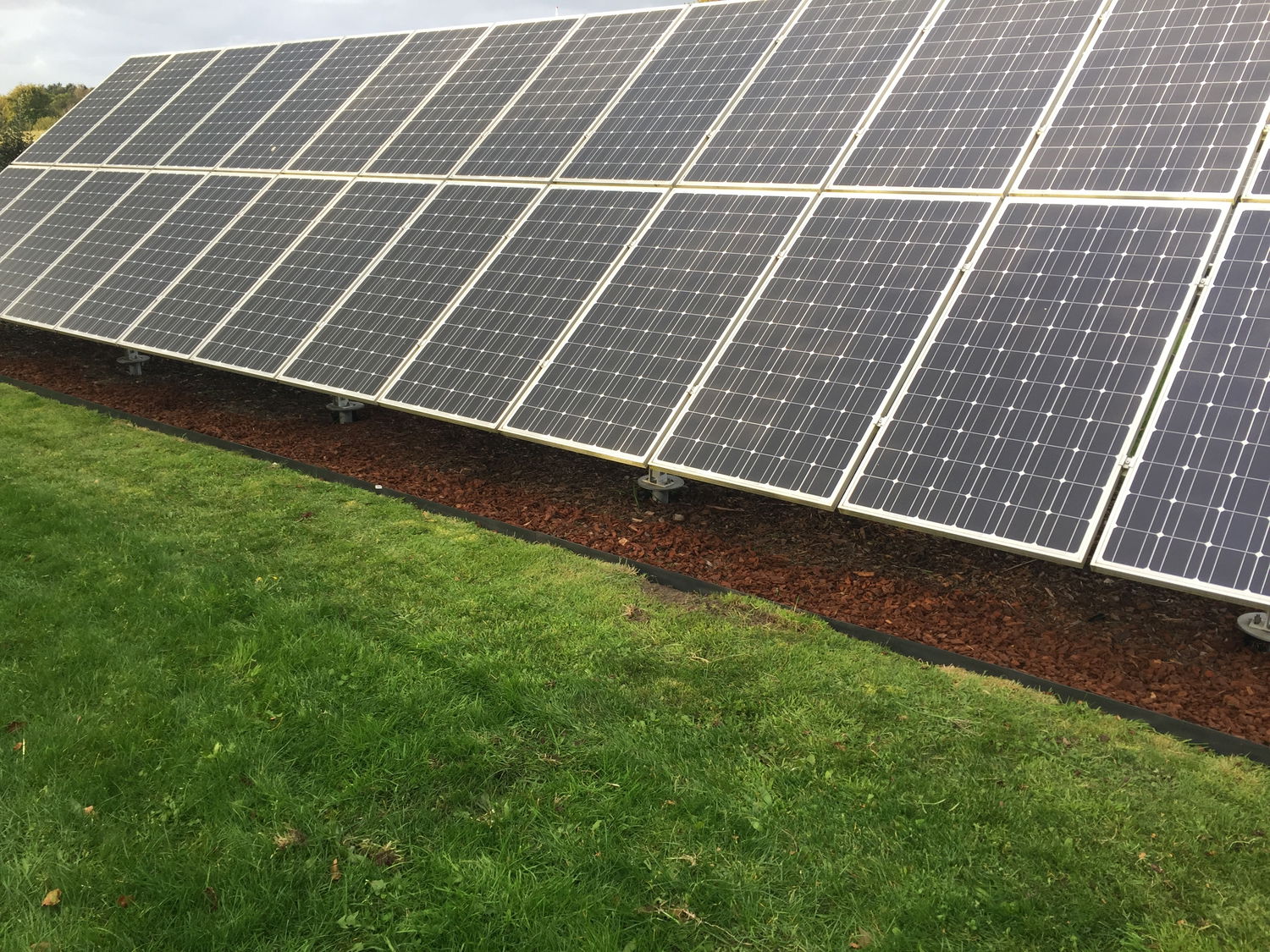 Række solpaneler monteret lavt over græs