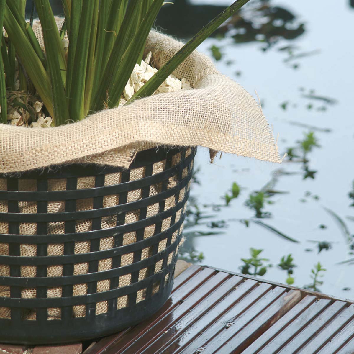 Plantekurv foret med jutesæk ved kanten af dam