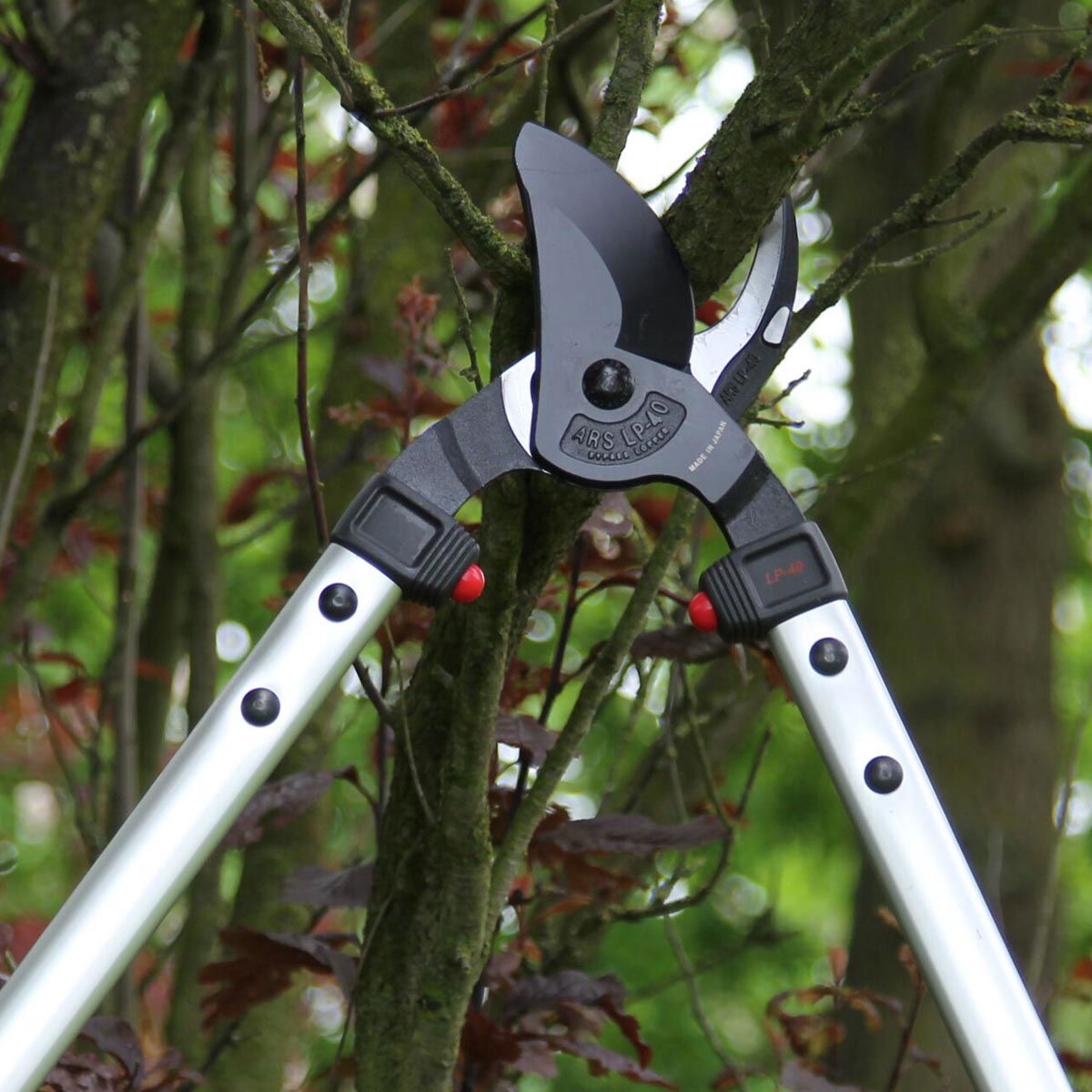 Teleskop grensaks der beskærer trægrene