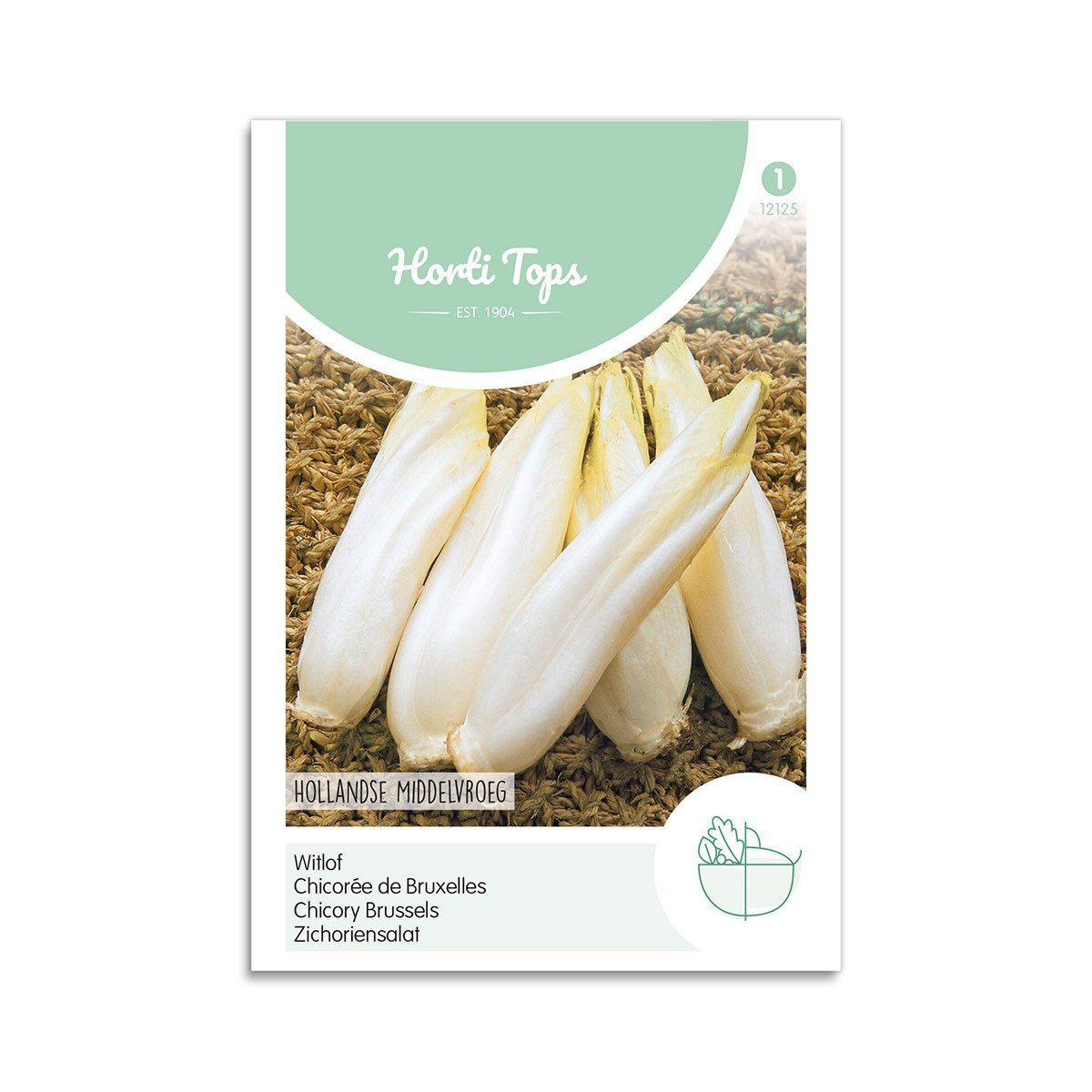 Julesalat/ Cikorie frø - "Brussels Witloof"